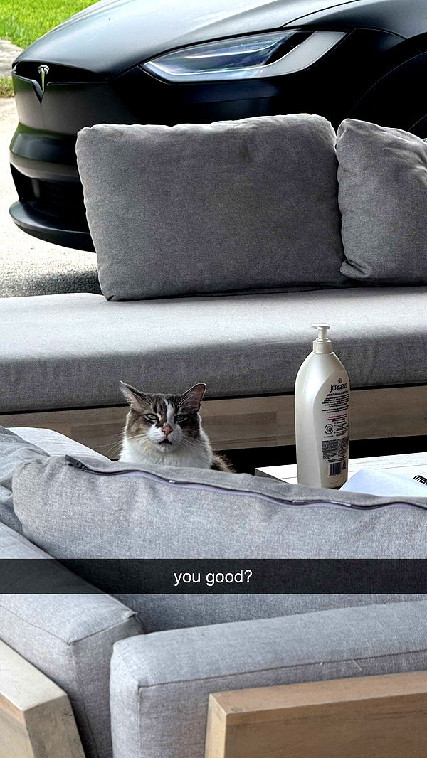 corinnakopf image ~ Altpins