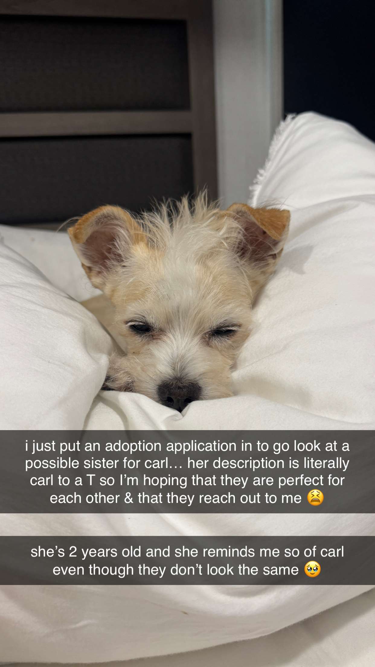 corinnakopf snapchat image archive image