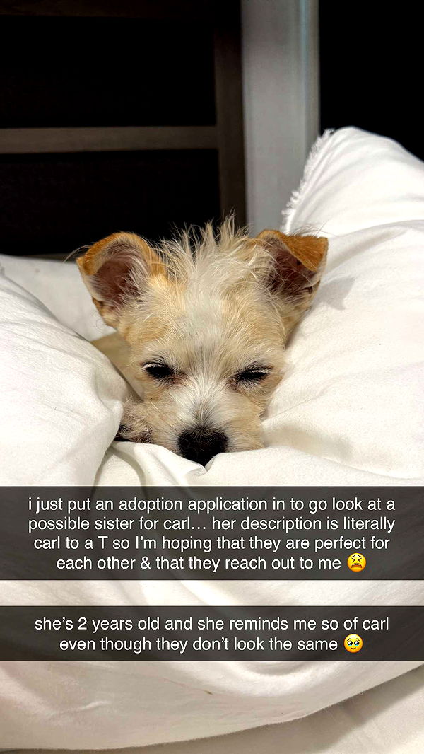 corinnakopf image ~ Altpins