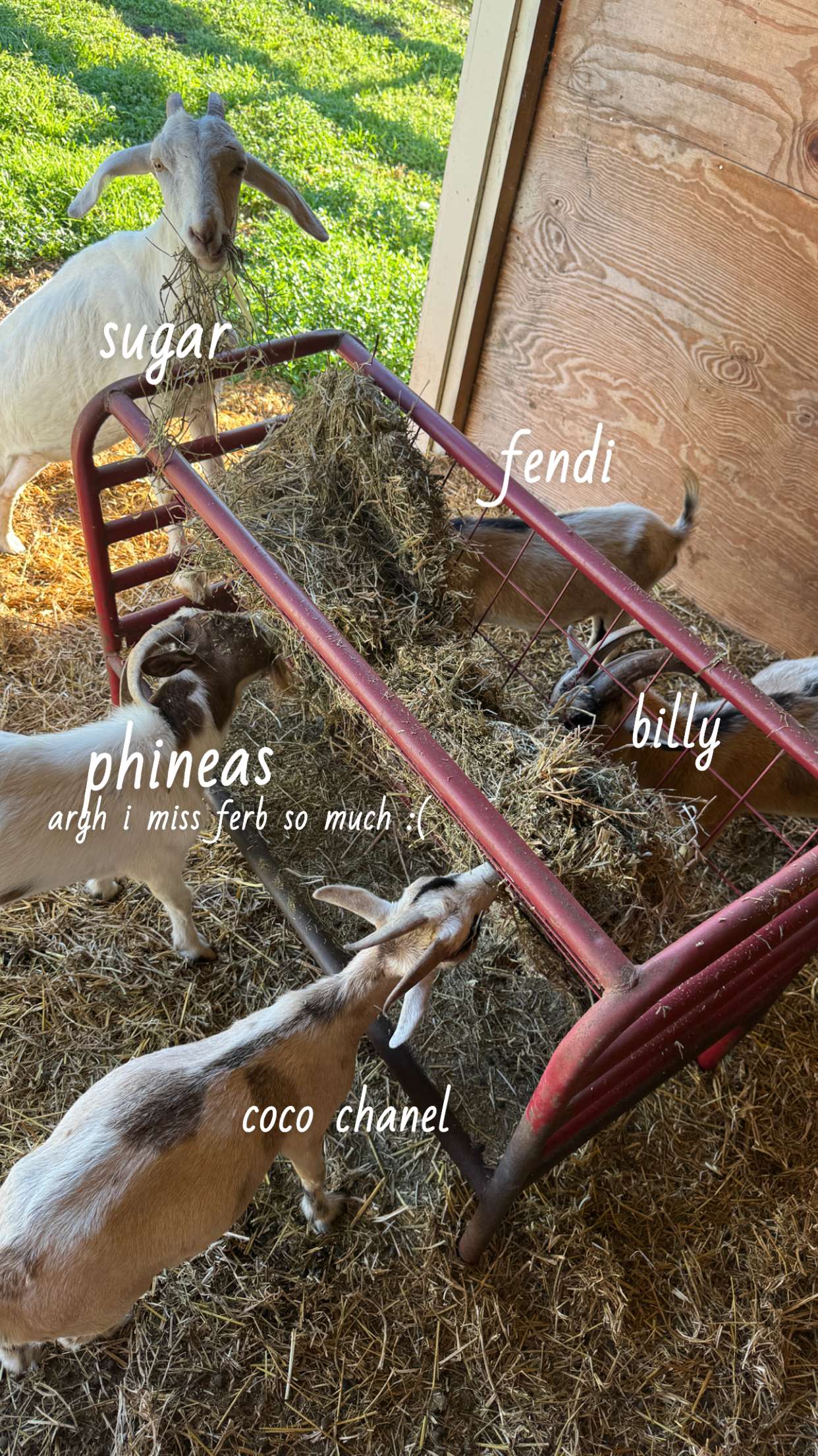 corinnakopf snapchat image archive image