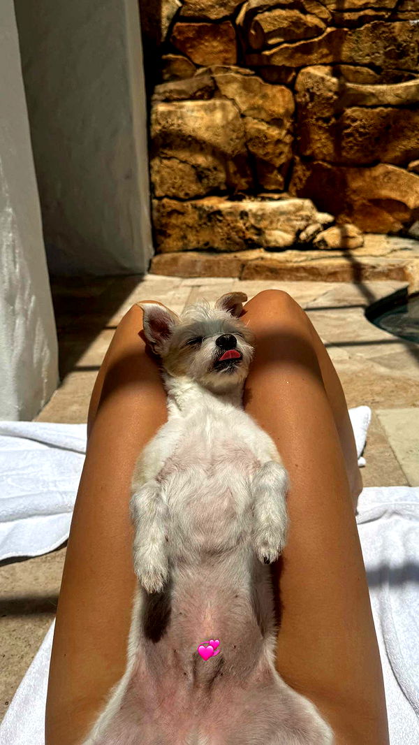 corinnakopf image ~ Altpins