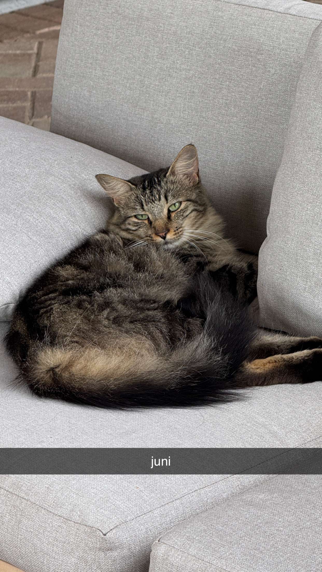 corinnakopf snapchat image archive image