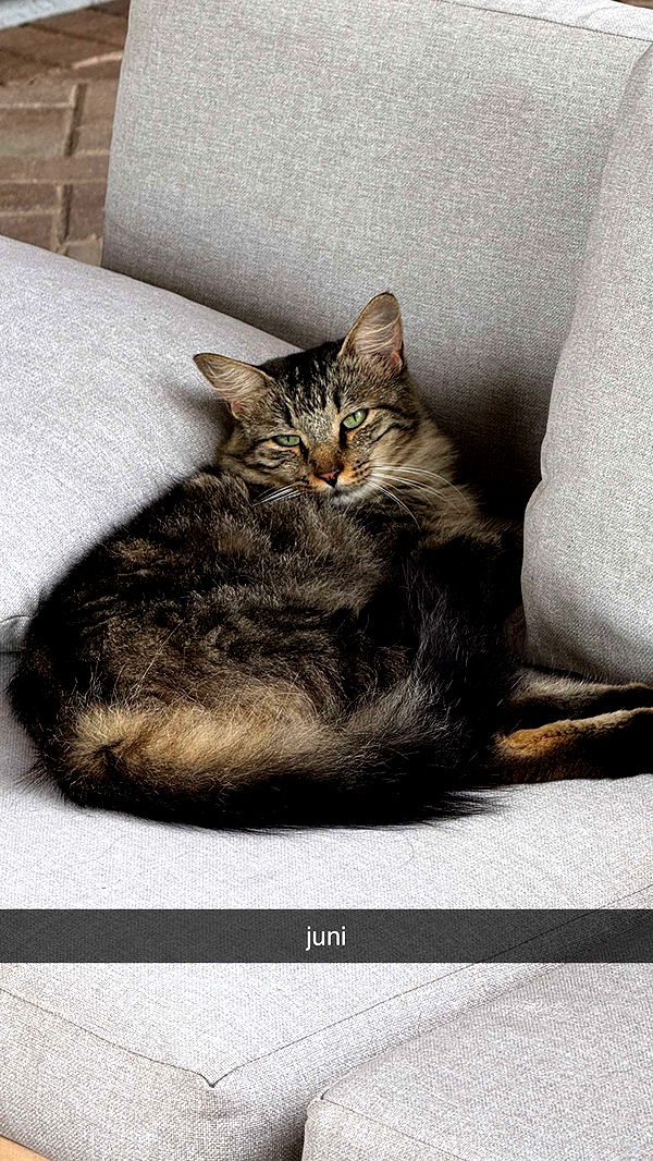 corinnakopf image ~ Altpins