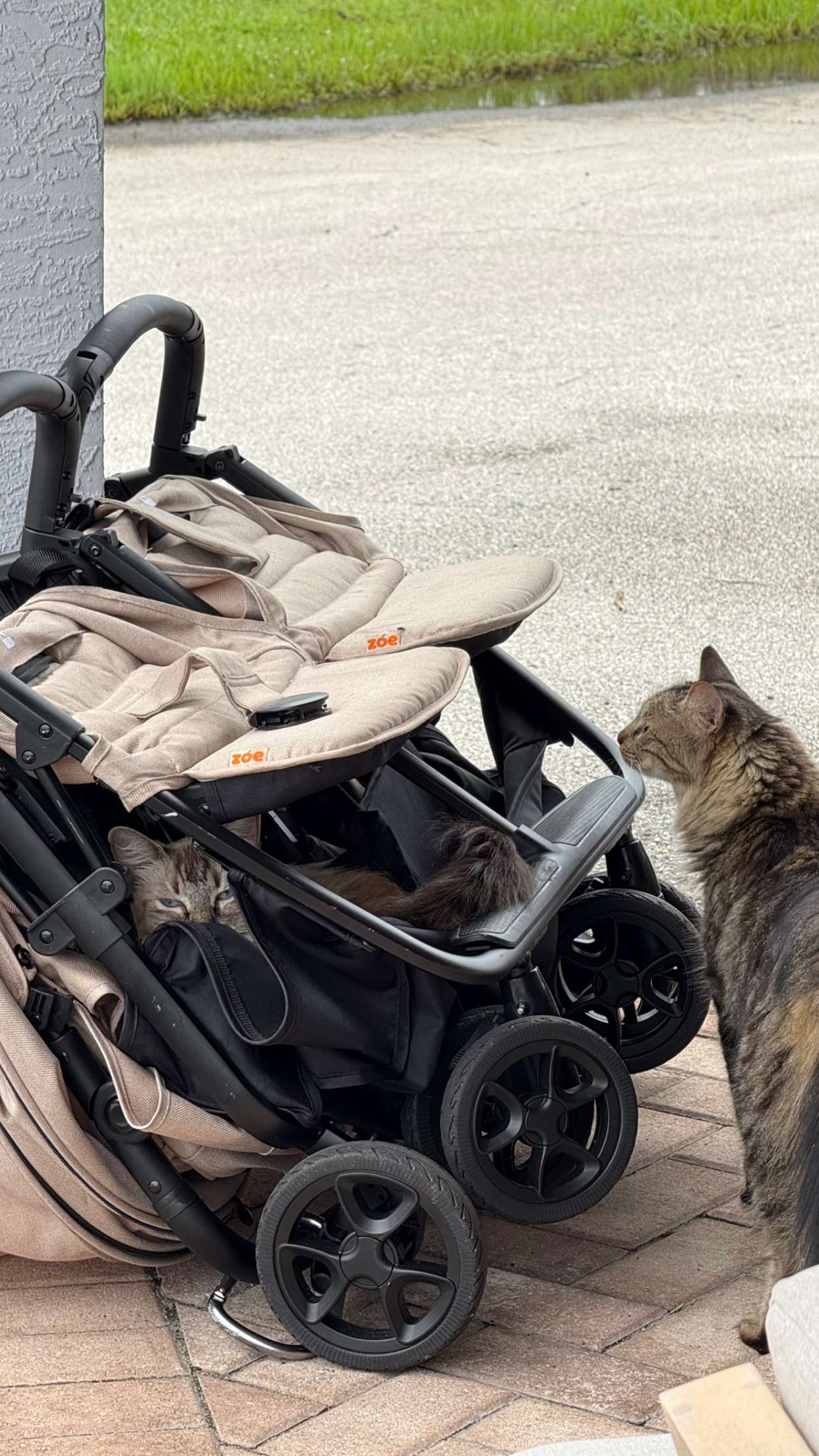 corinnakopf snapchat image archive image