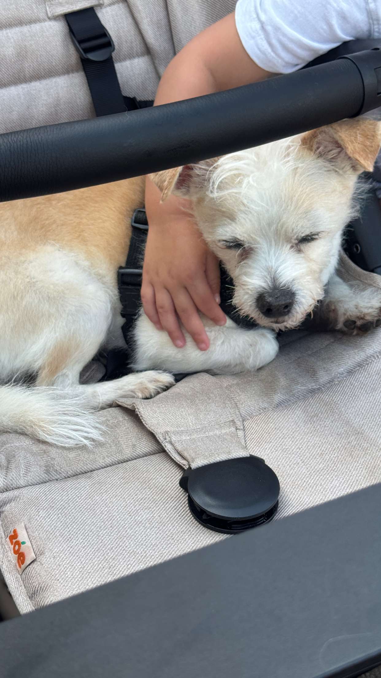 corinnakopf snapchat image archive image