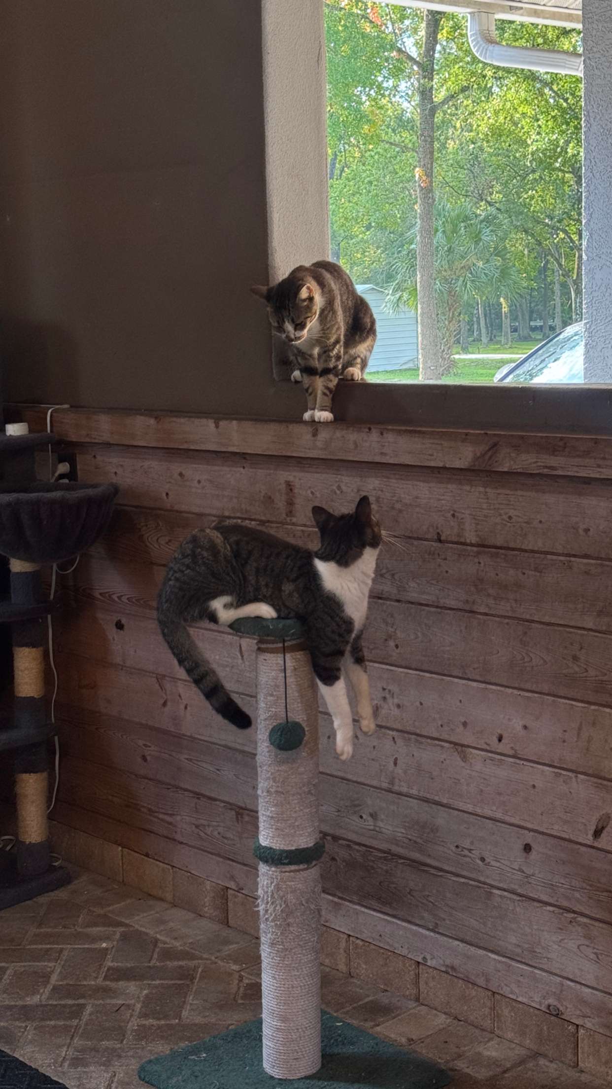 corinnakopf snapchat image archive image