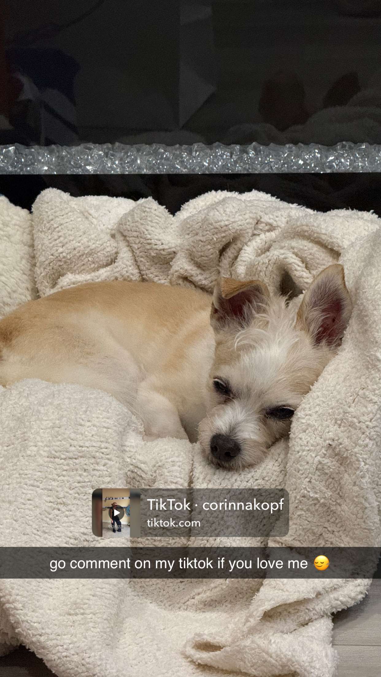 corinnakopf snapchat image archive image