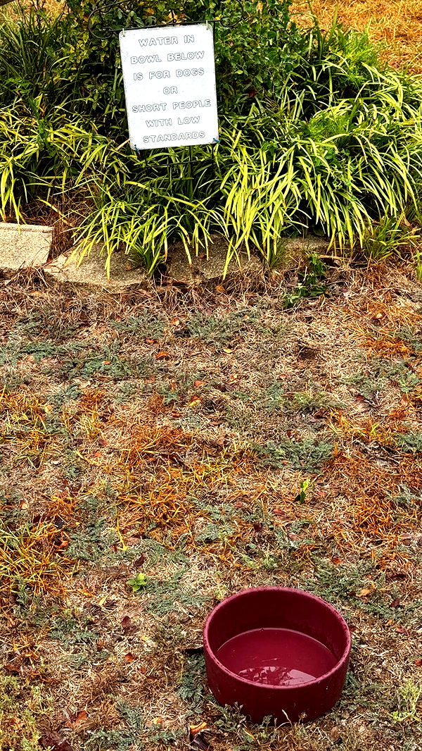 corinnakopf image ~ Altpins