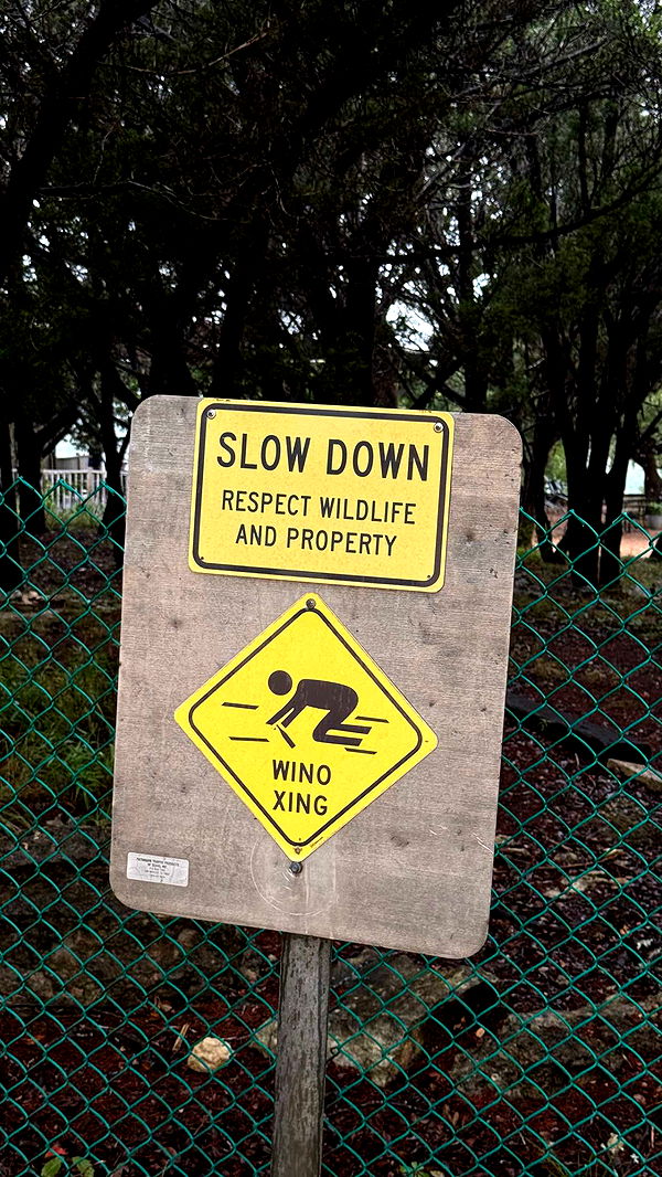 corinnakopf image ~ Altpins