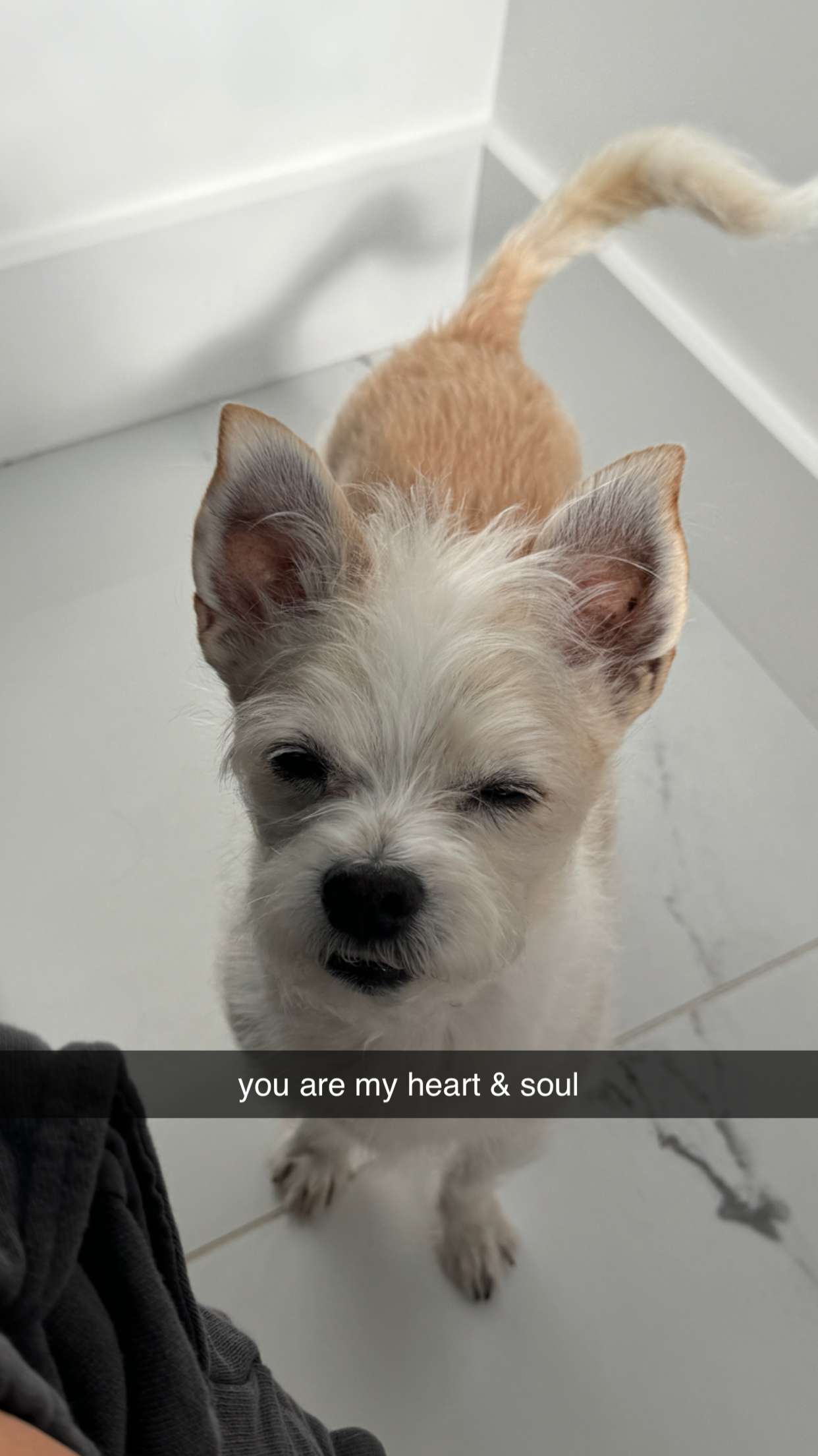 corinnakopf snapchat image archive image