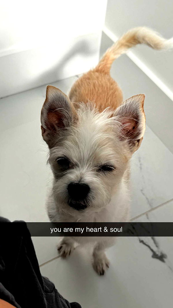 corinnakopf image ~ Altpins