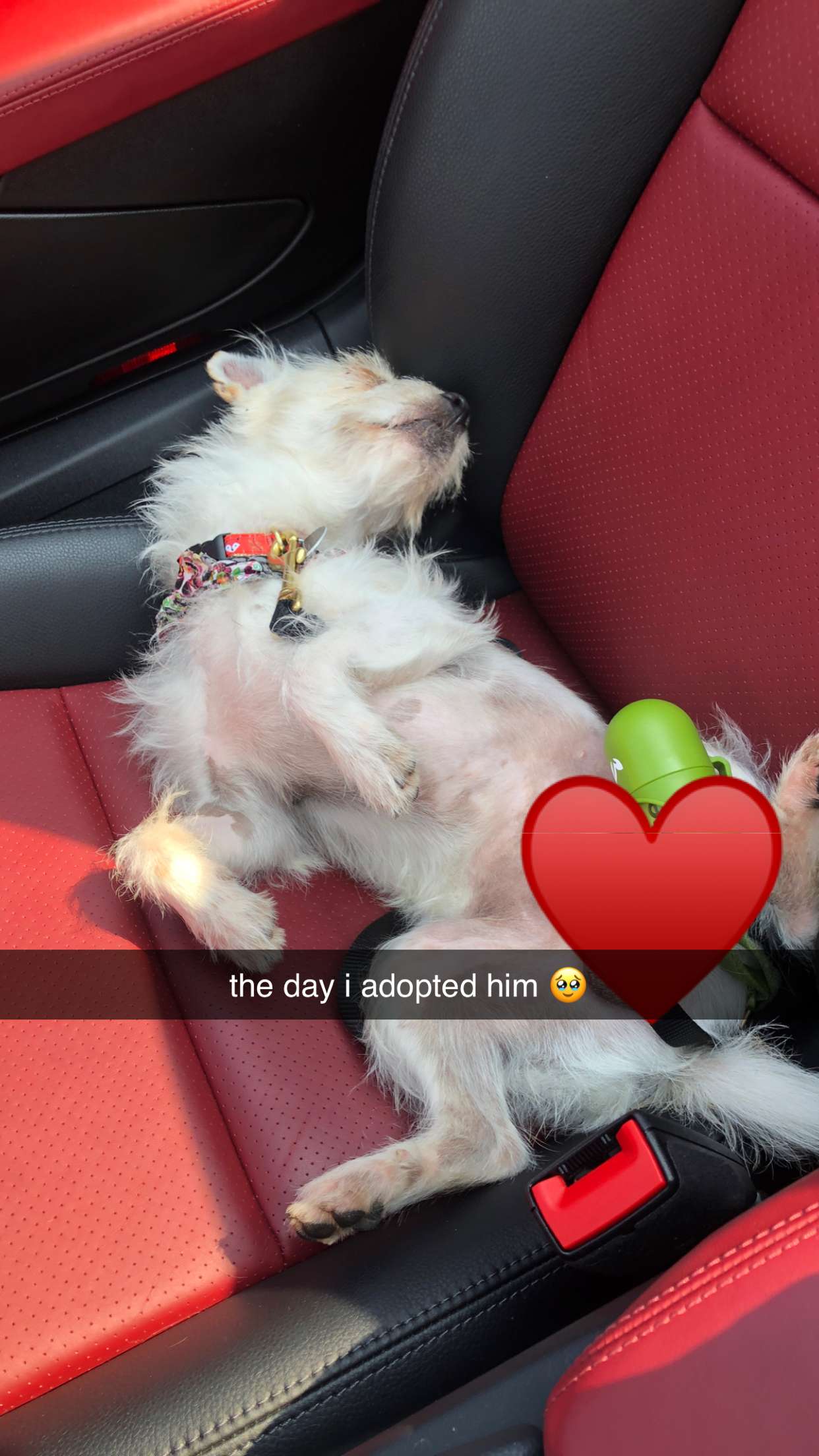 corinnakopf snapchat image archive image