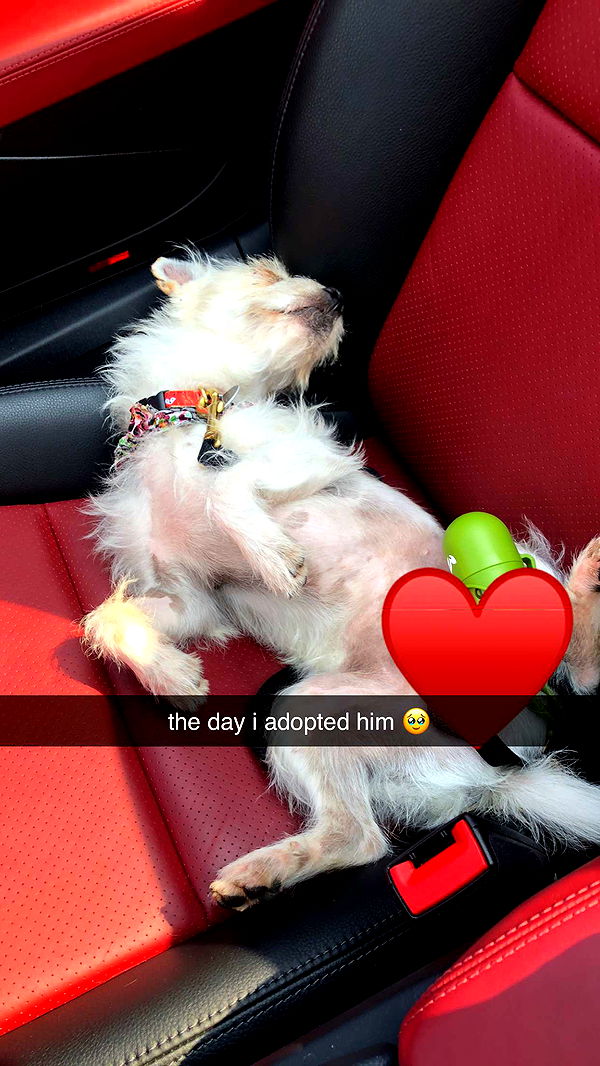 corinnakopf image ~ Altpins