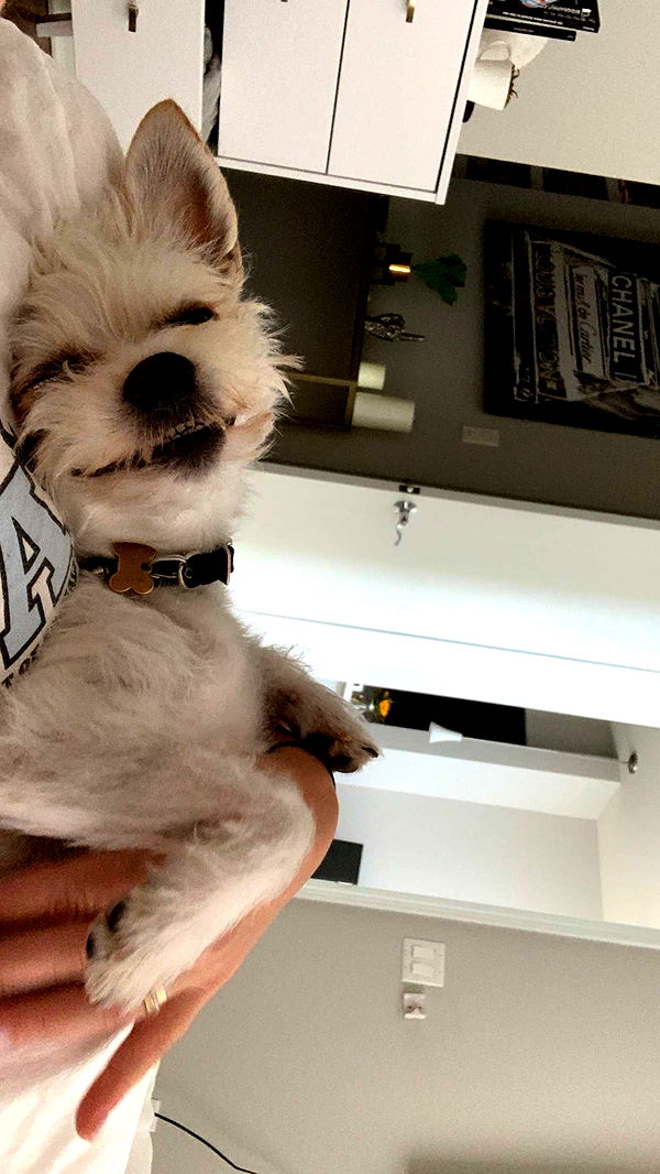 corinnakopf image ~ Altpins