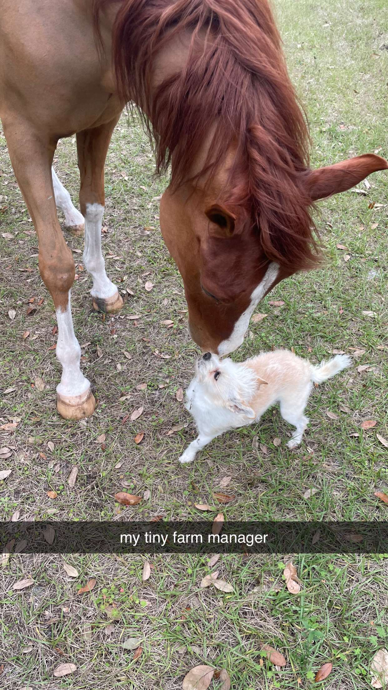 corinnakopf snapchat image archive image