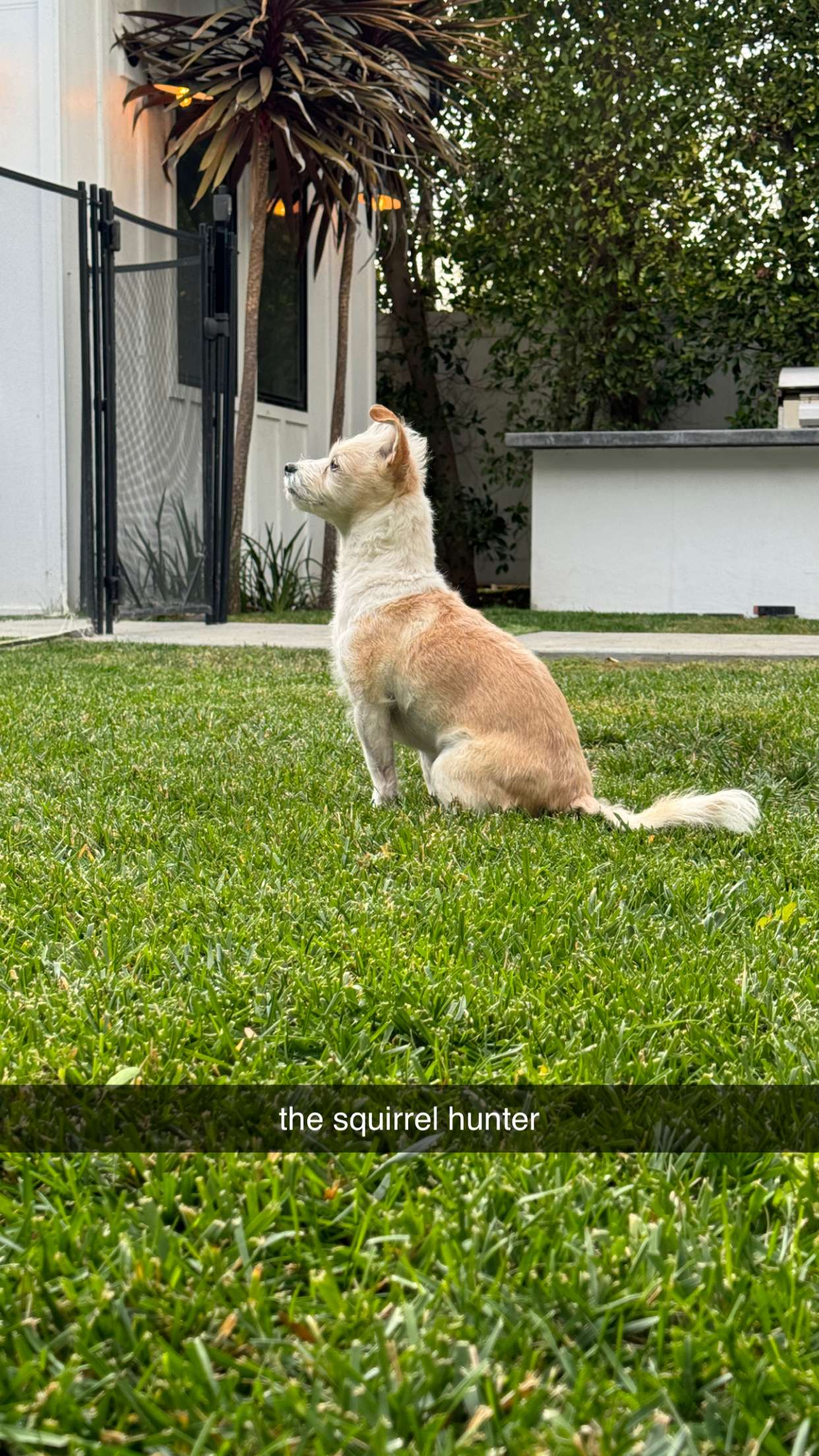 corinnakopf snapchat image archive image