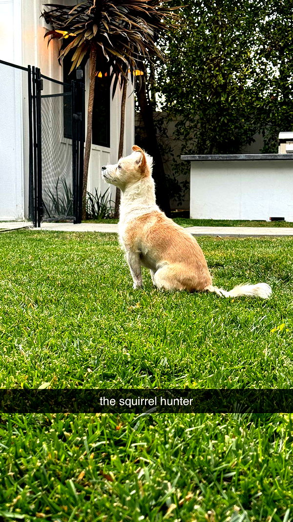 corinnakopf image ~ Altpins