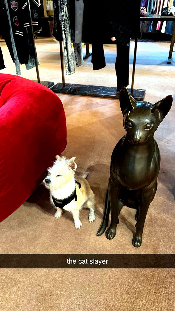 corinnakopf image ~ Altpins