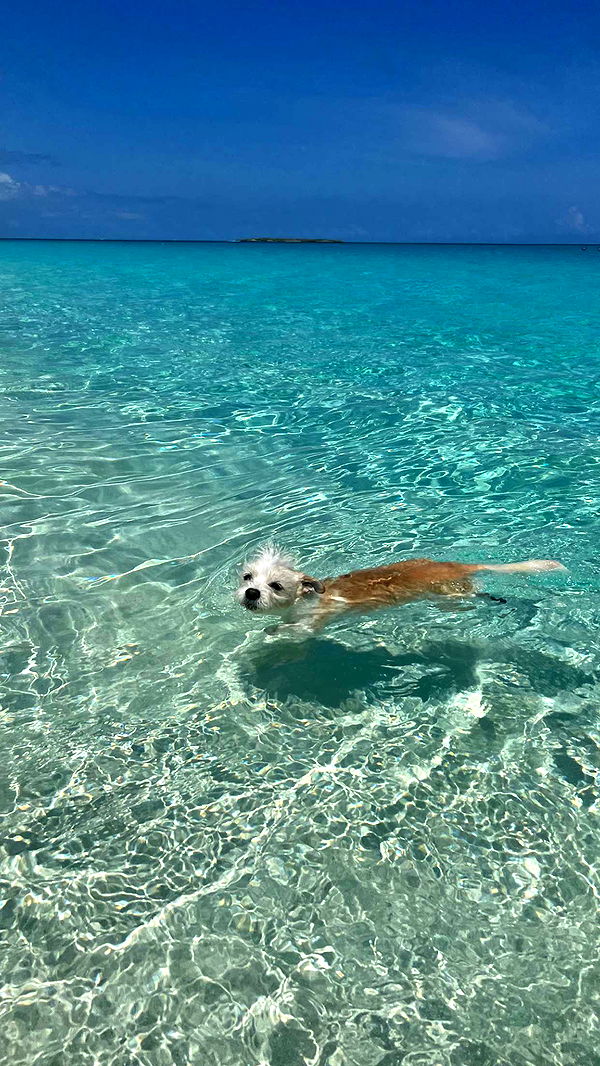 corinnakopf image ~ Altpins