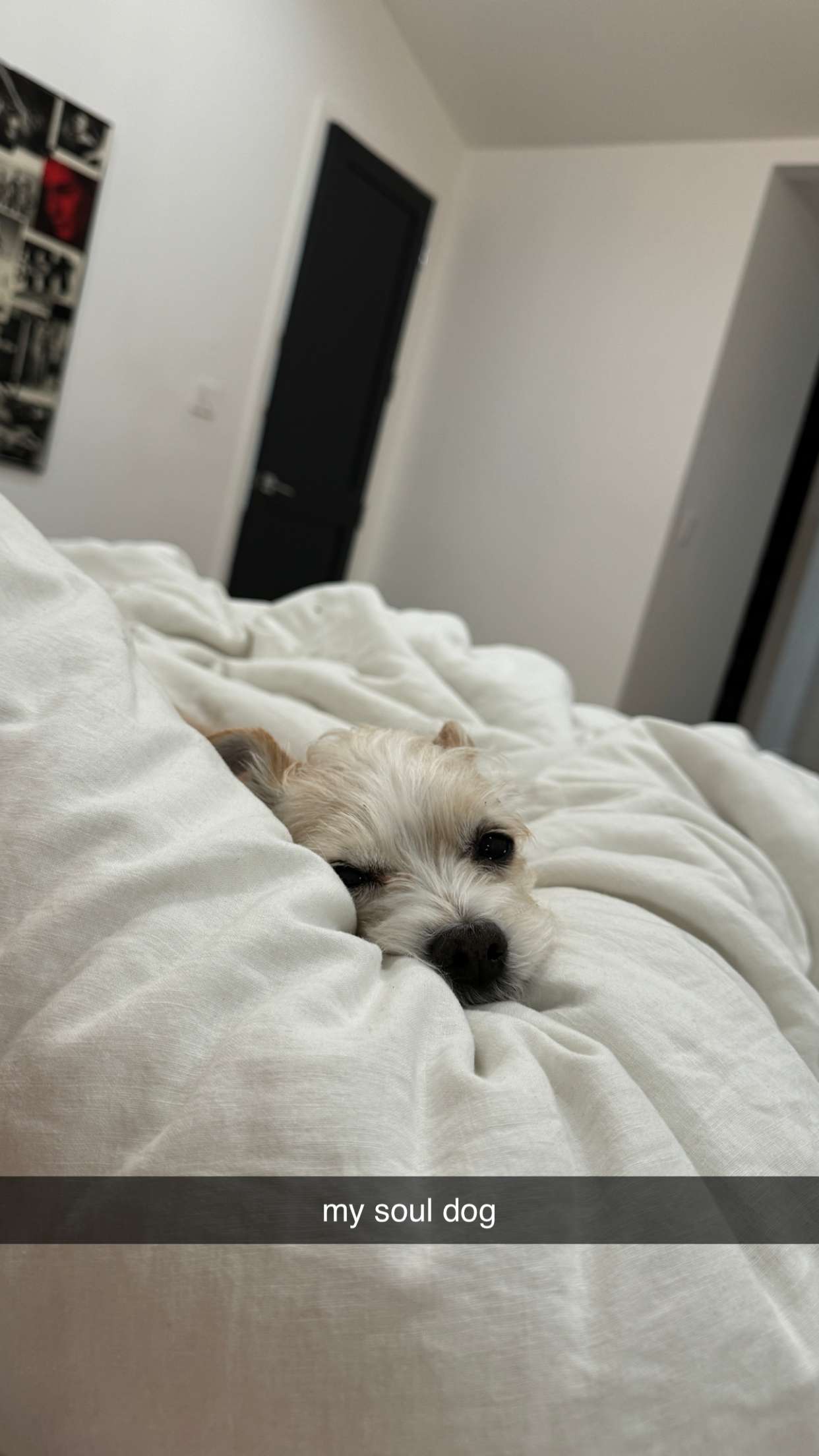 corinnakopf snapchat image archive image