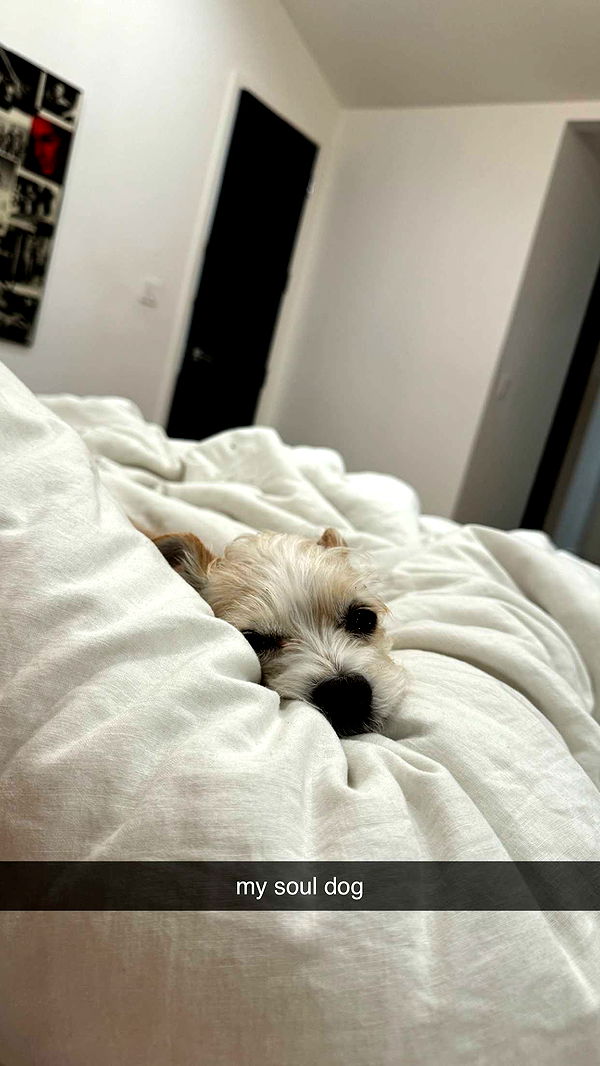 corinnakopf image ~ Altpins