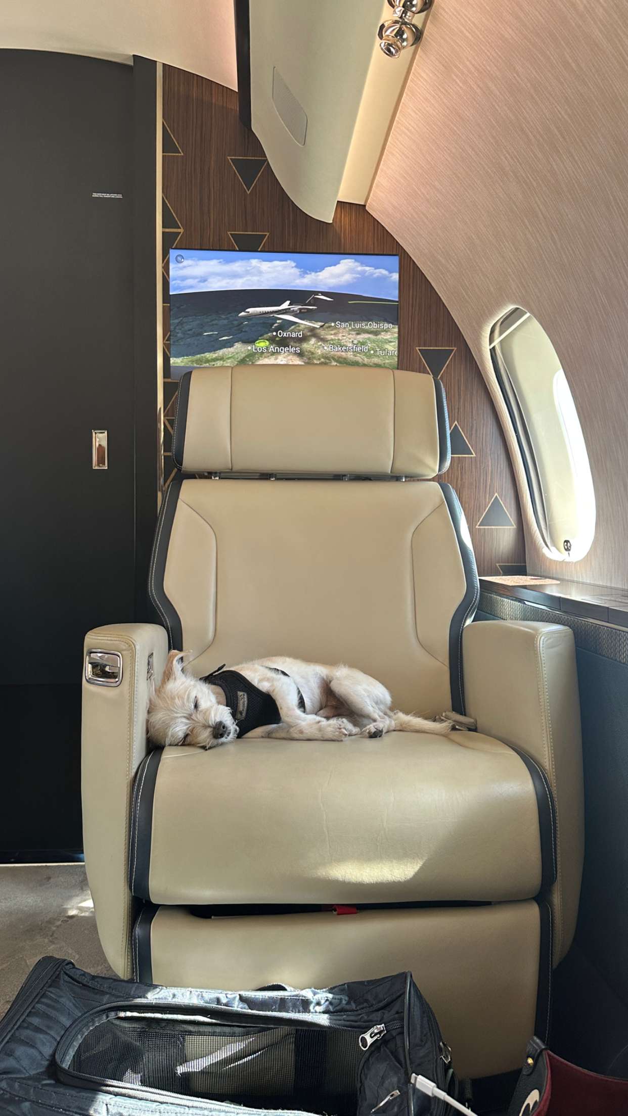 corinnakopf snapchat image archive image