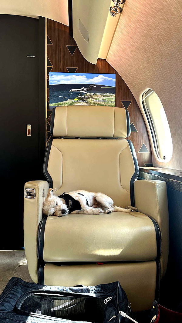 corinnakopf image ~ Altpins