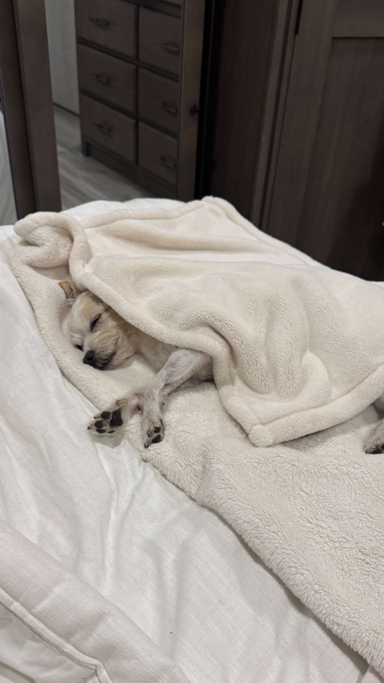 corinnakopf snapchat image archive image