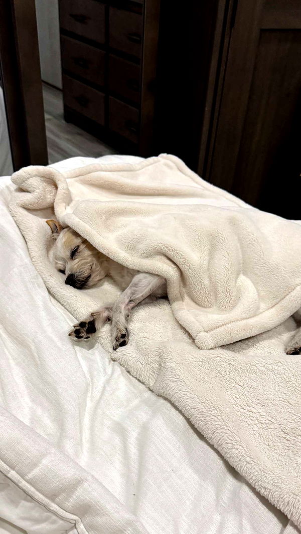 corinnakopf image ~ Altpins