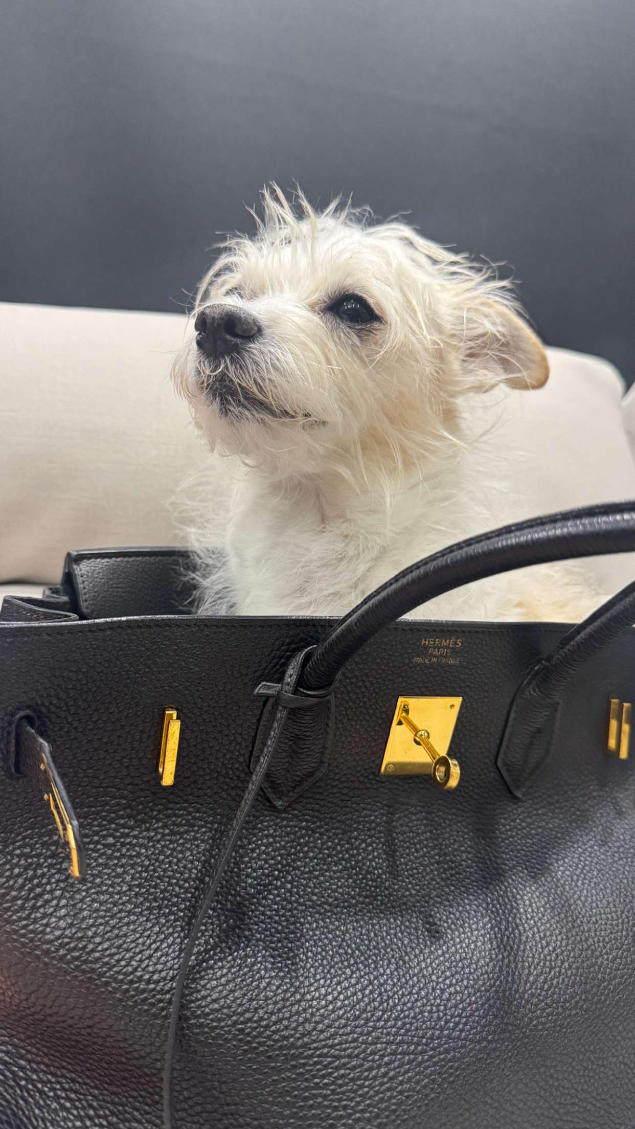 corinnakopf snapchat image archive image