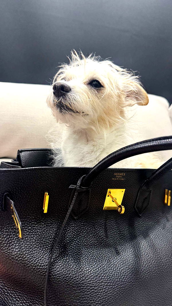 corinnakopf image ~ Altpins