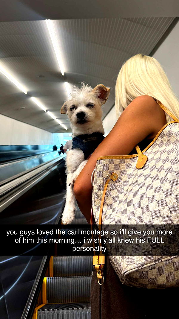 corinnakopf image ~ Altpins