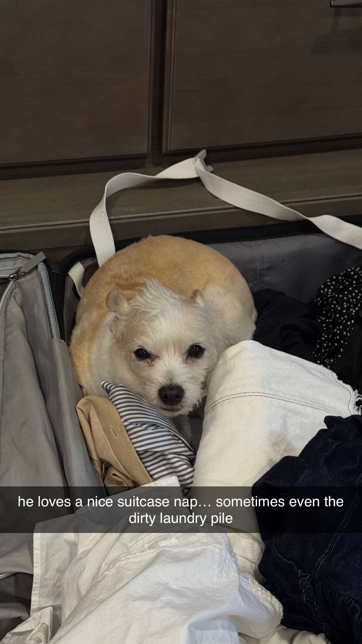 corinnakopf snapchat image archive image