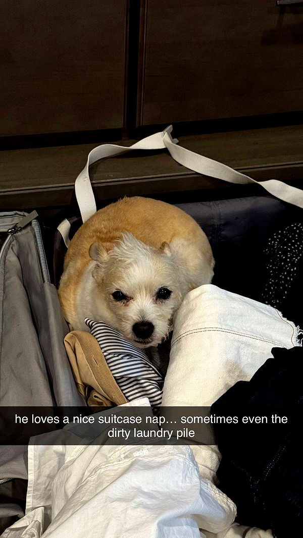 corinnakopf image ~ Altpins