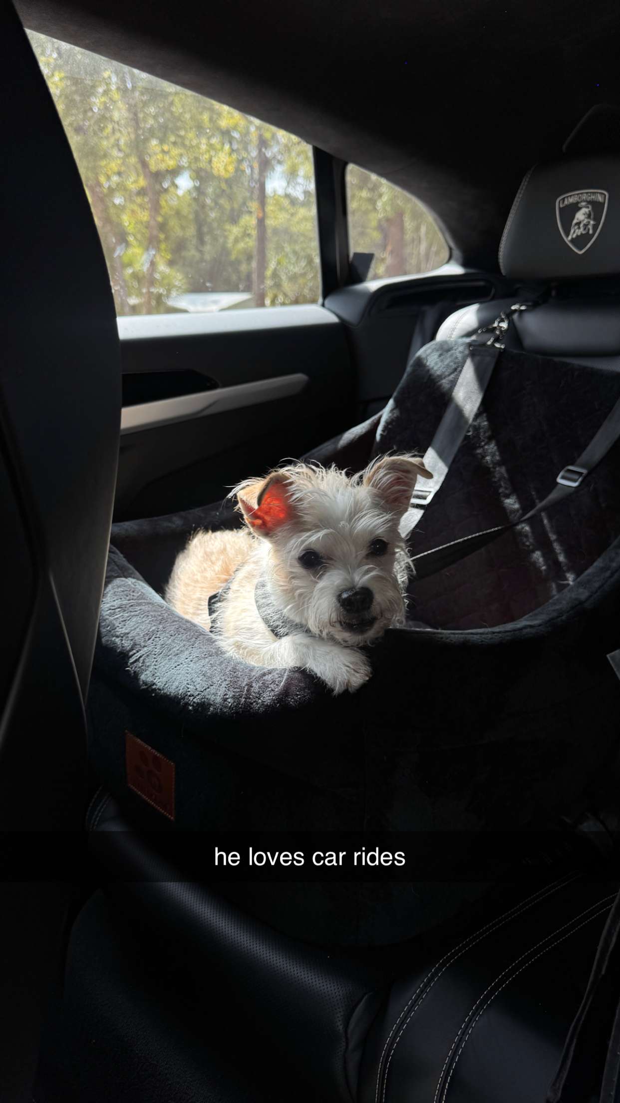 corinnakopf snapchat image archive image