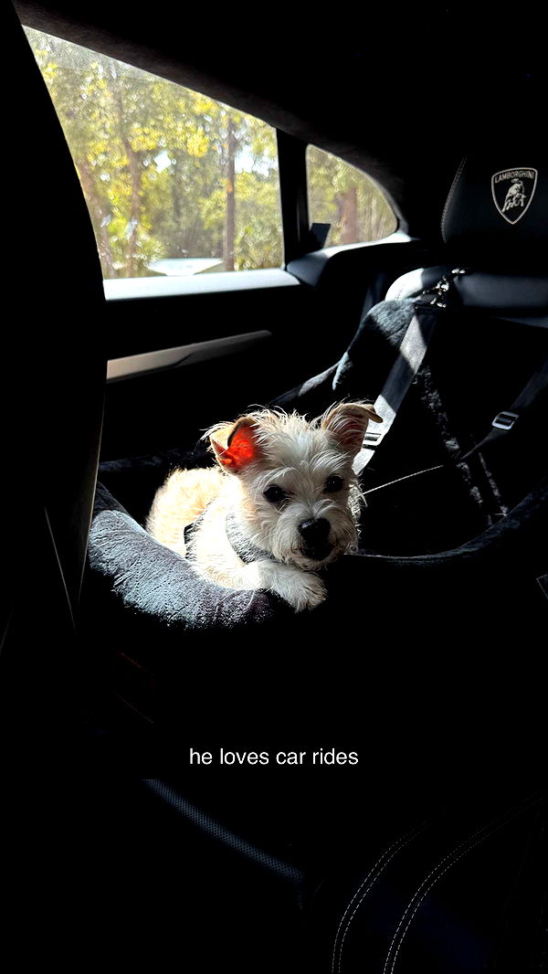 corinnakopf image ~ Altpins