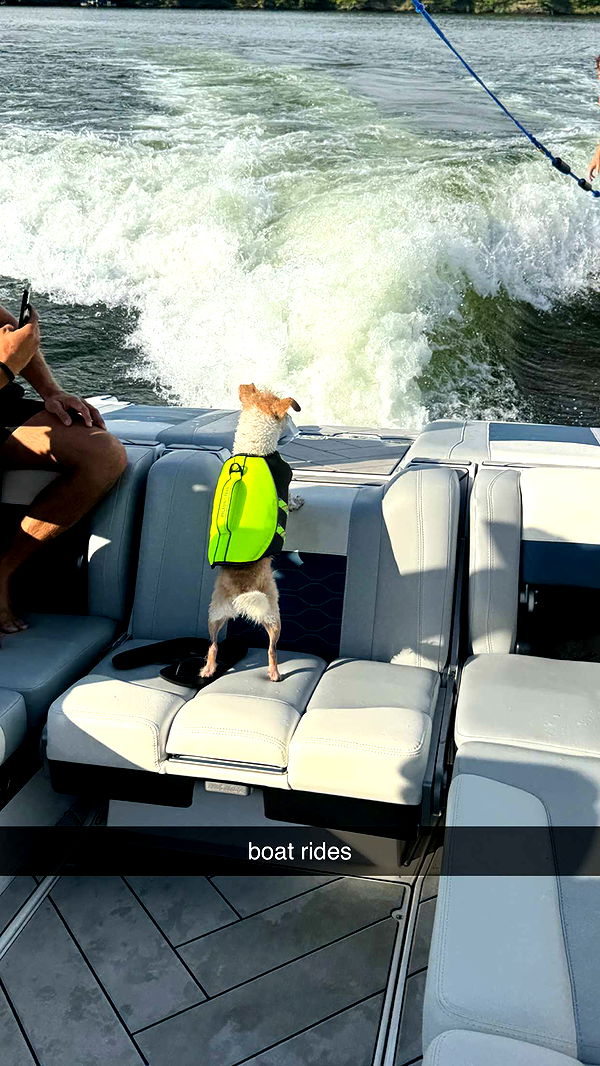 corinnakopf image ~ Altpins