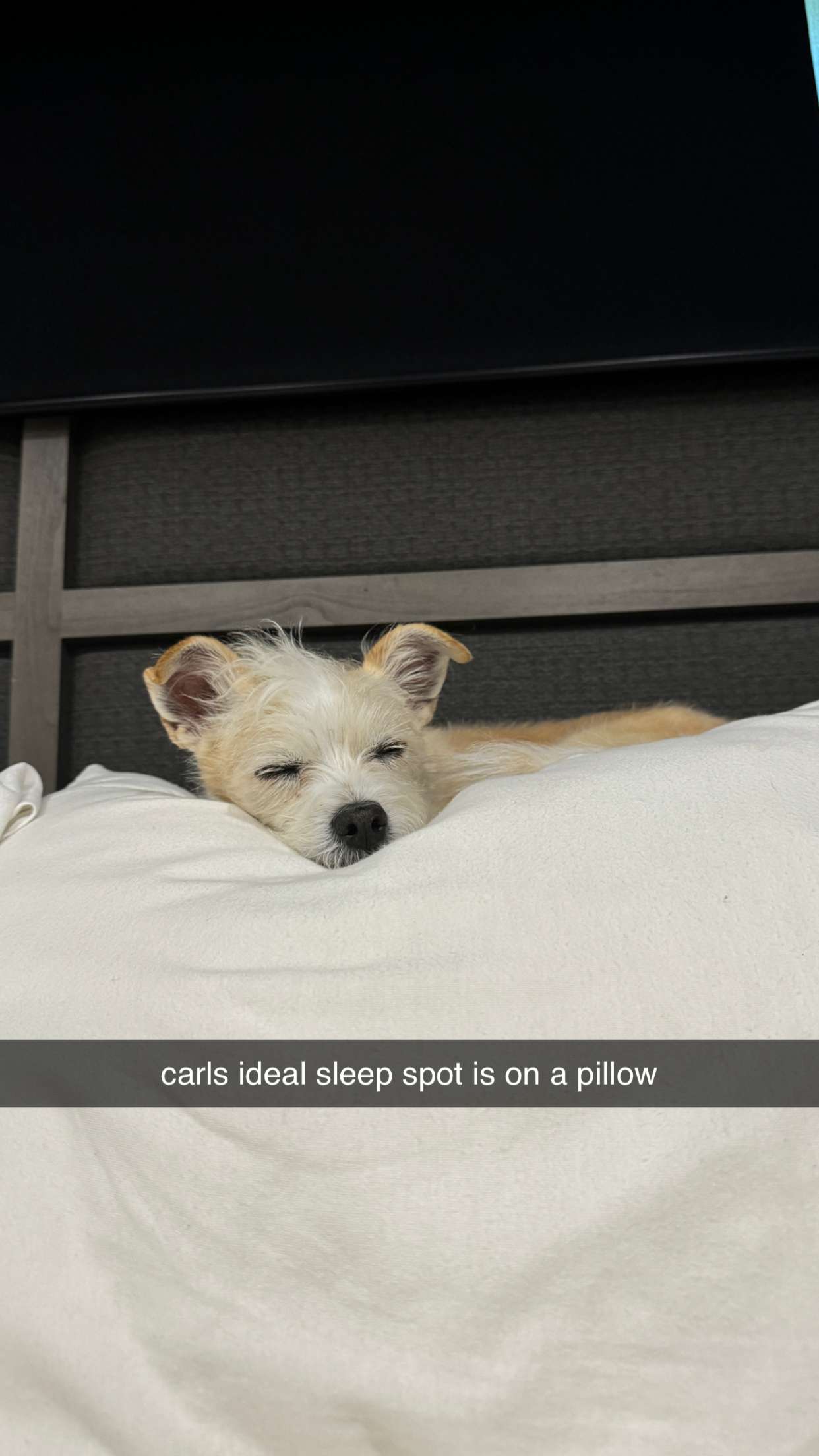 corinnakopf snapchat image archive image