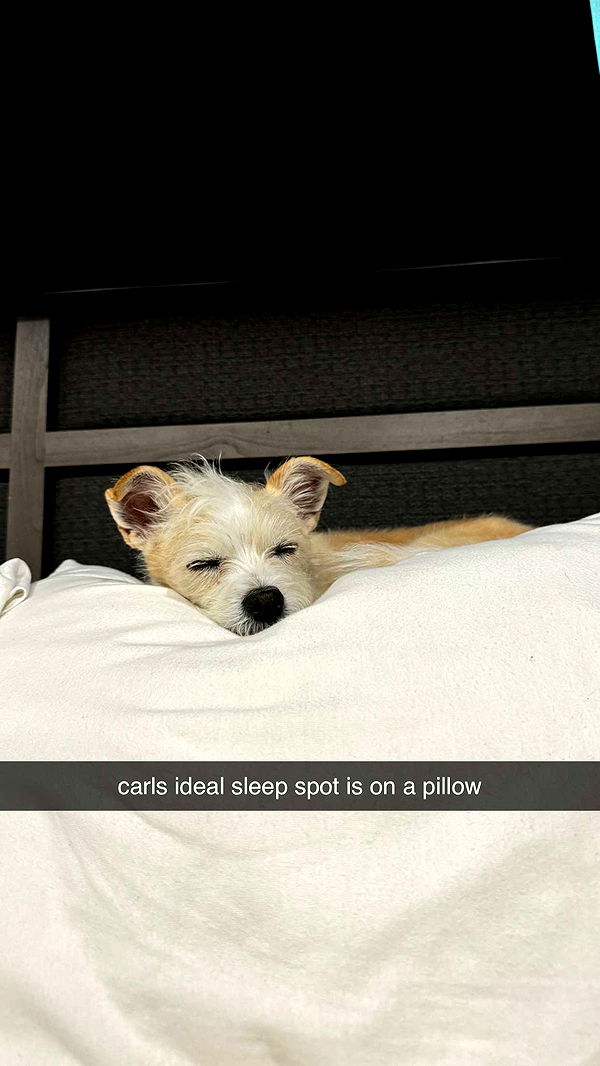 corinnakopf image ~ Altpins