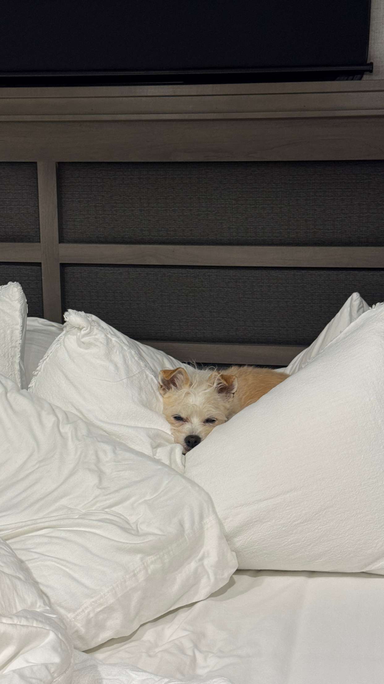 corinnakopf snapchat image archive image