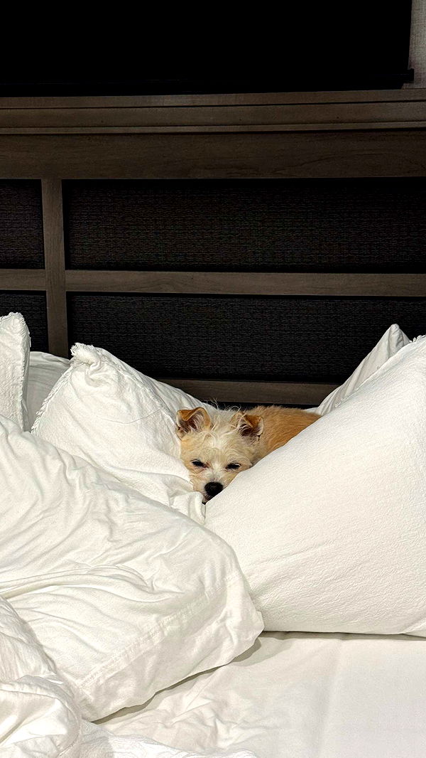 corinnakopf image ~ Altpins