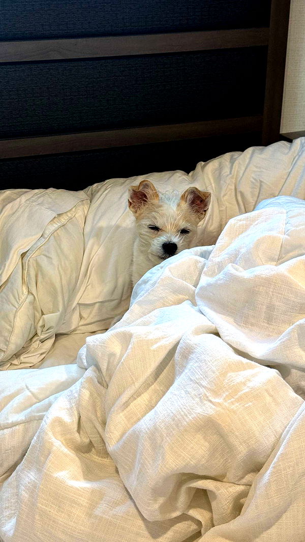 corinnakopf image ~ Altpins