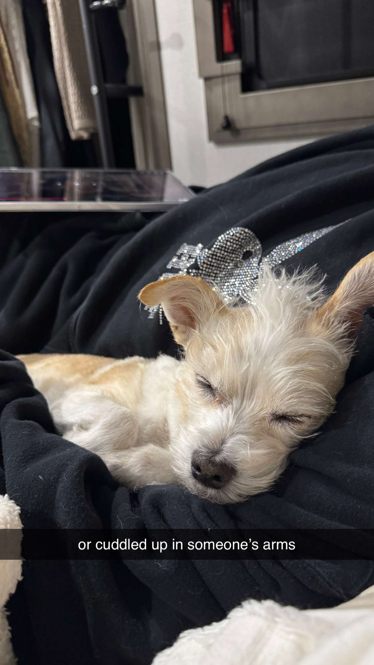 corinnakopf snapchat image archive image