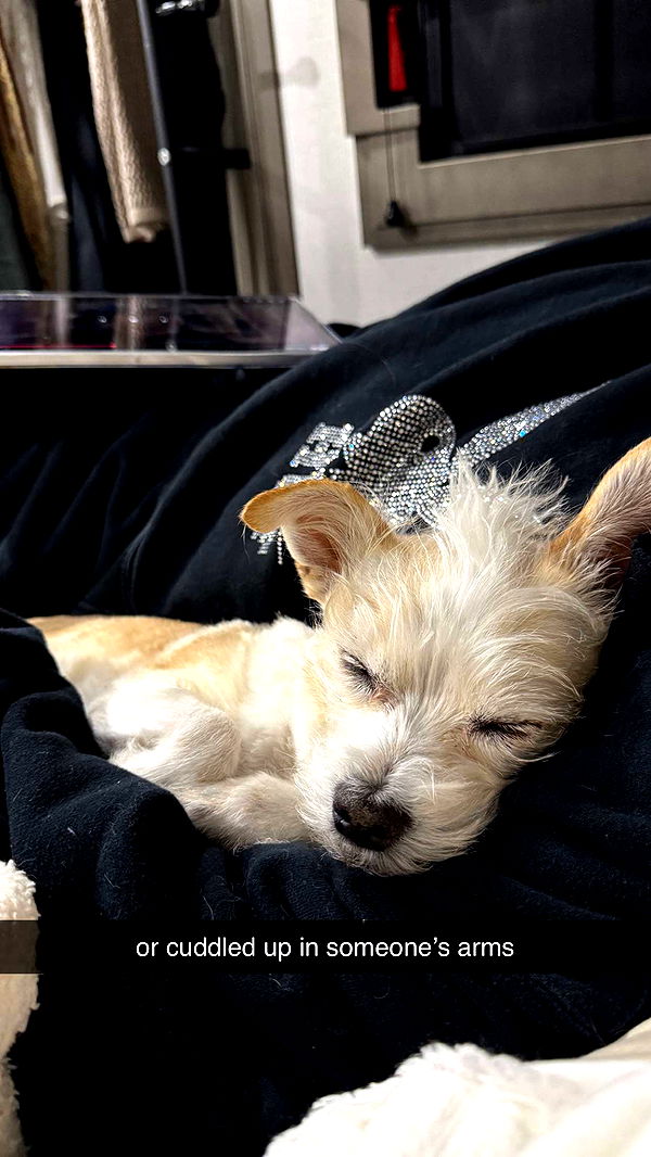 corinnakopf image ~ Altpins