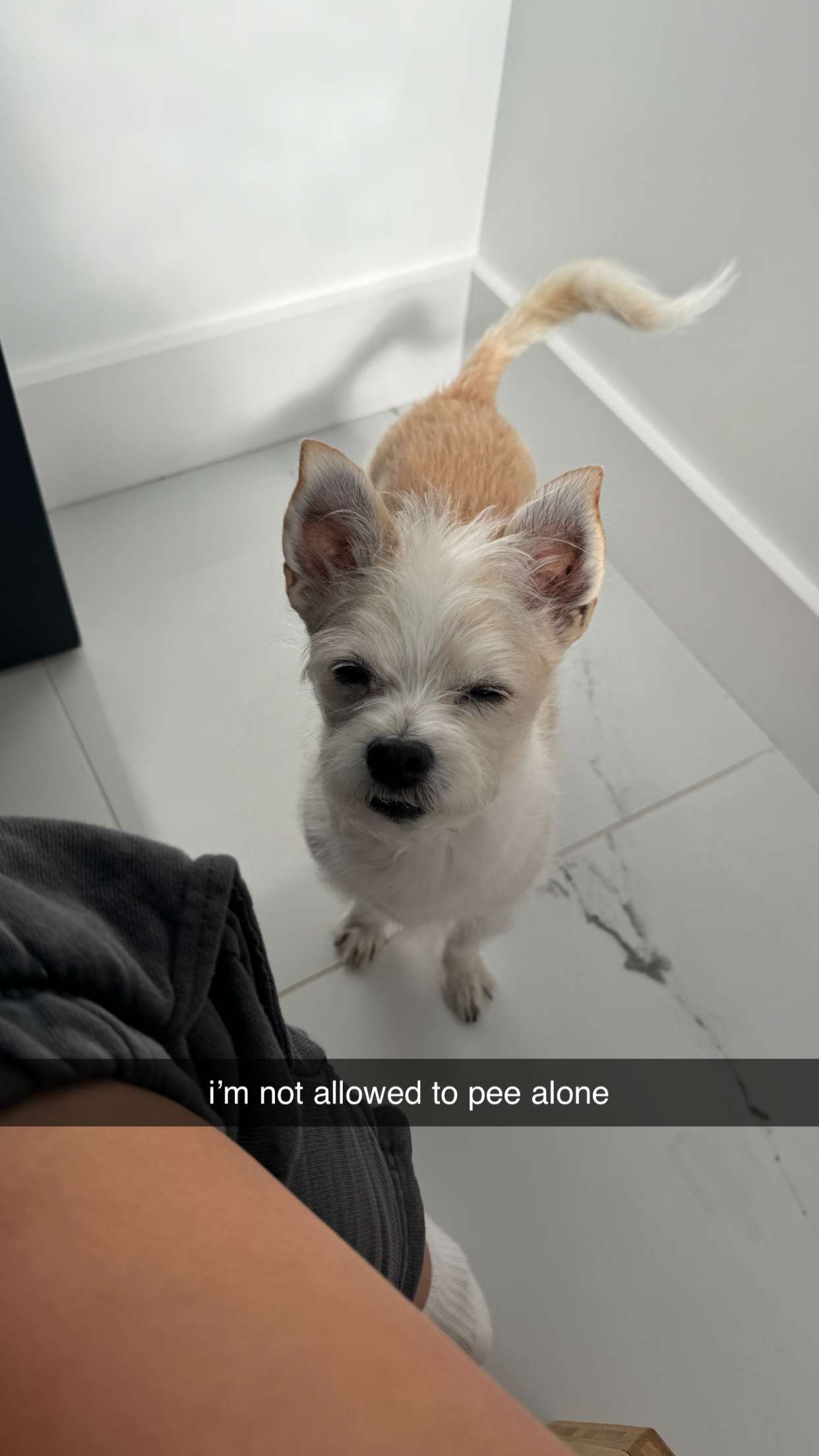 corinnakopf snapchat image archive image