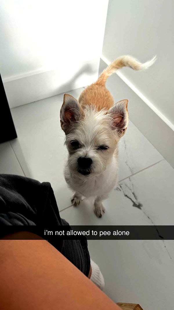 corinnakopf image ~ Altpins