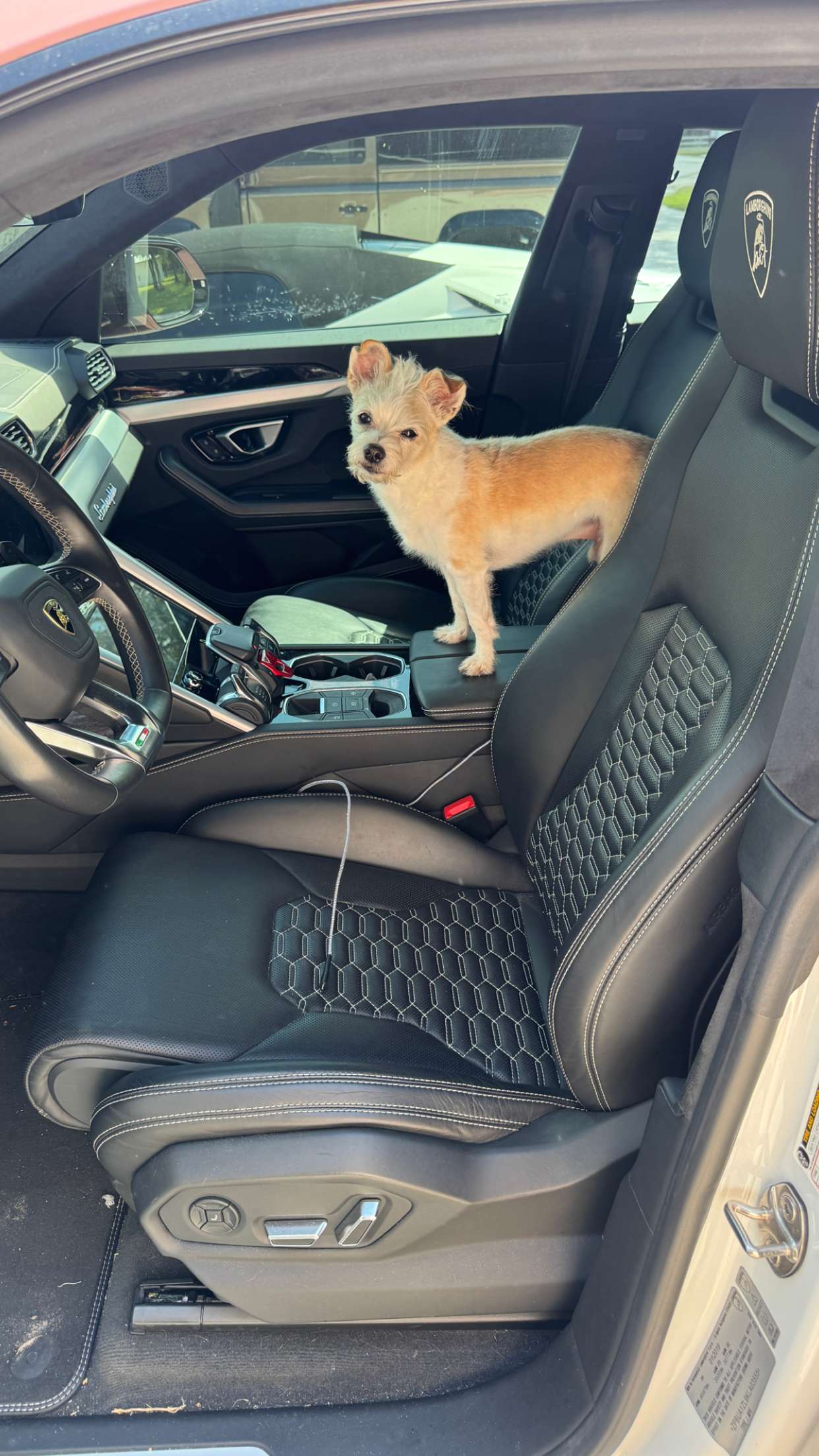 corinnakopf snapchat image archive image