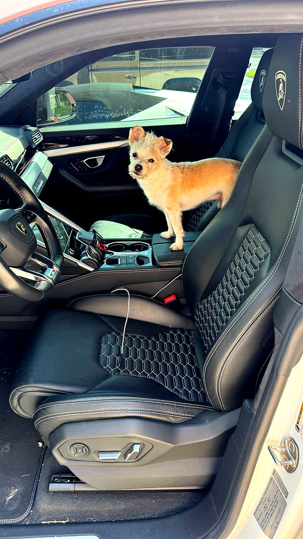 corinnakopf image ~ Altpins