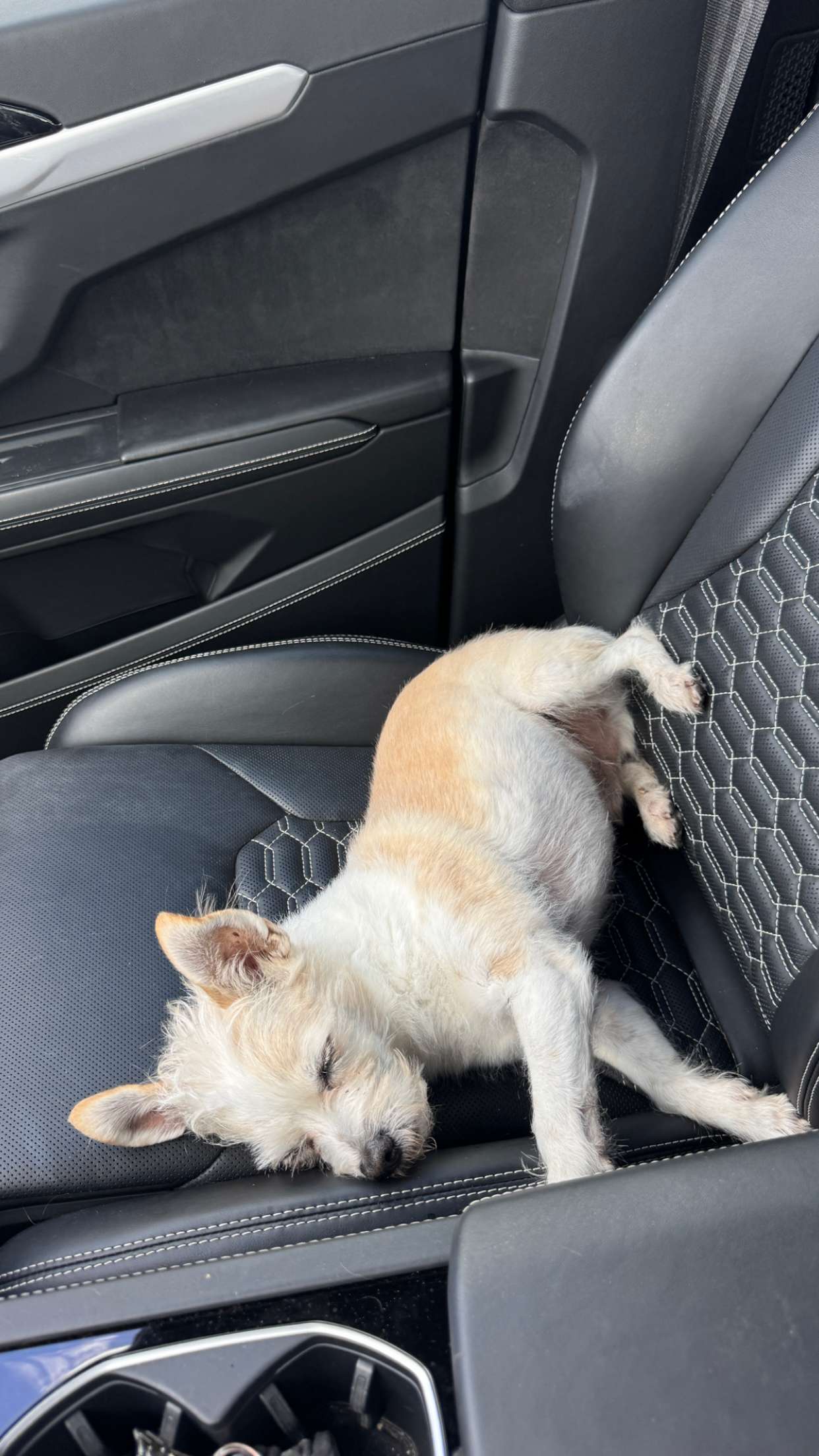 corinnakopf snapchat image archive image