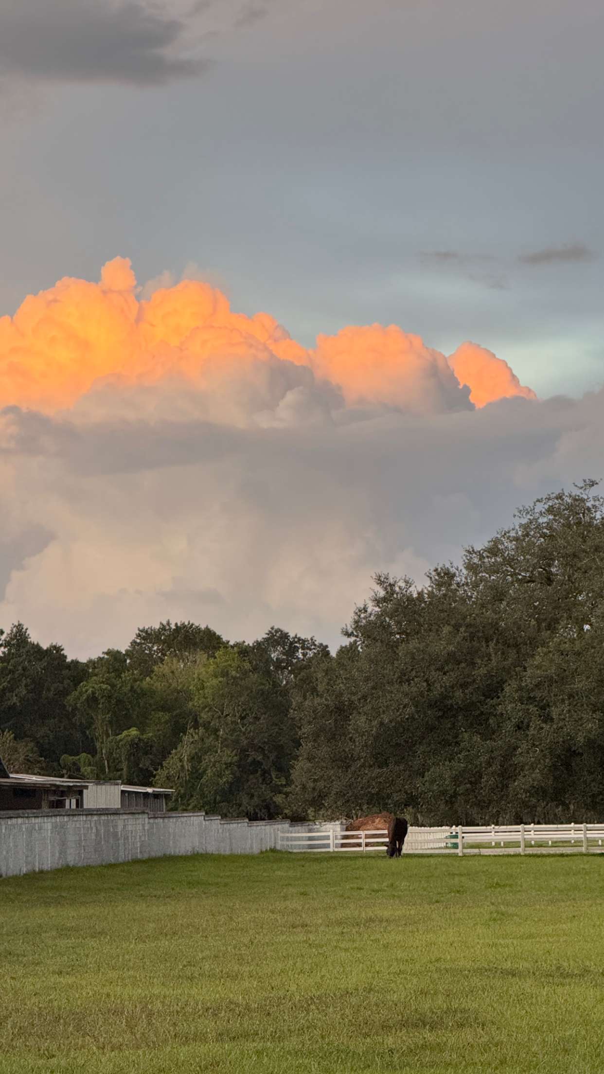 corinnakopf snapchat image archive image